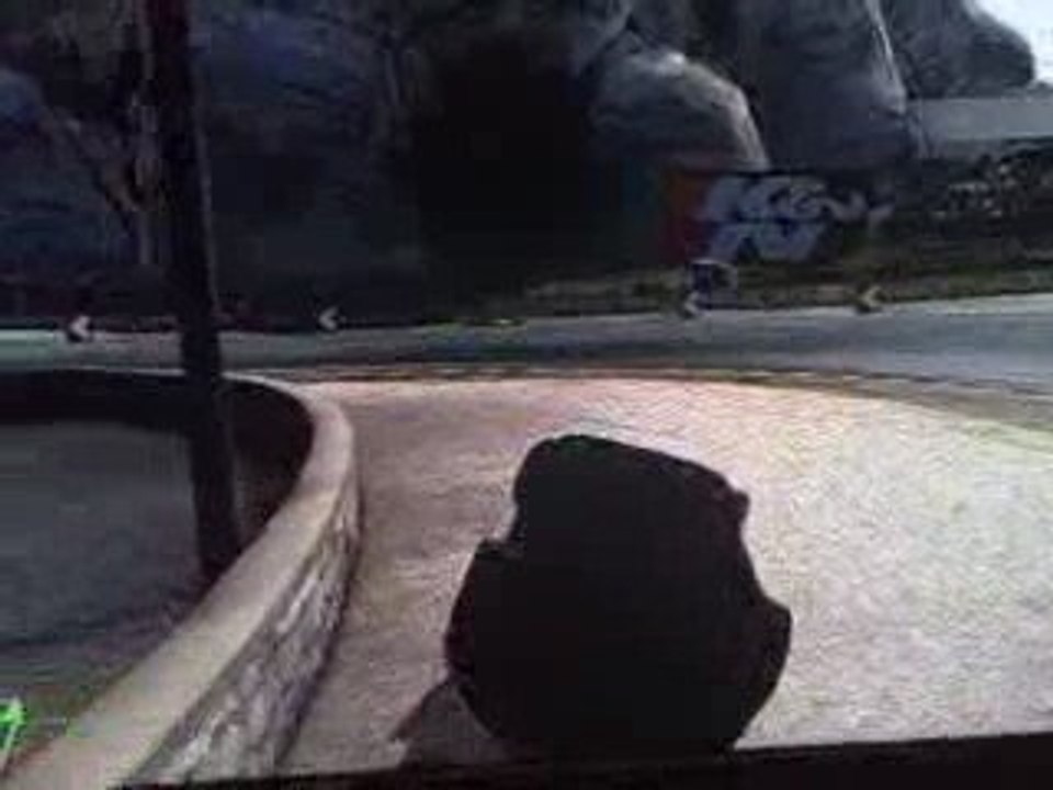 Forza Turtlesports 3