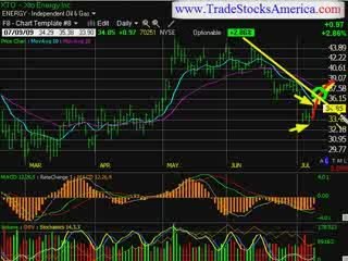 stock market trading newsletter