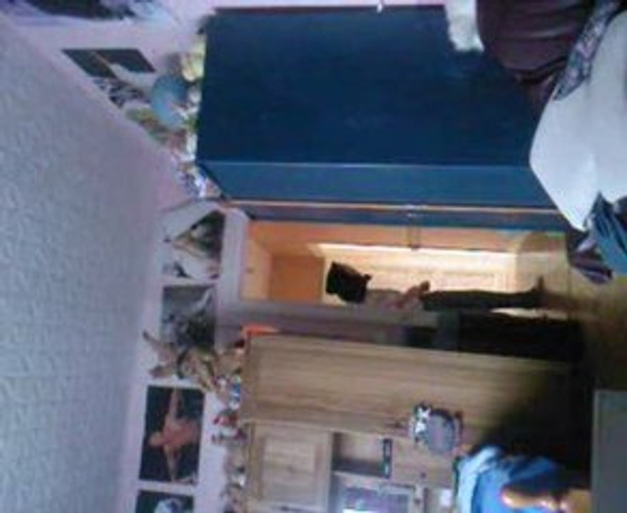 bagarre scream t son potte