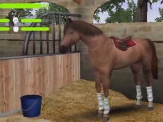 Mission Equitation Online