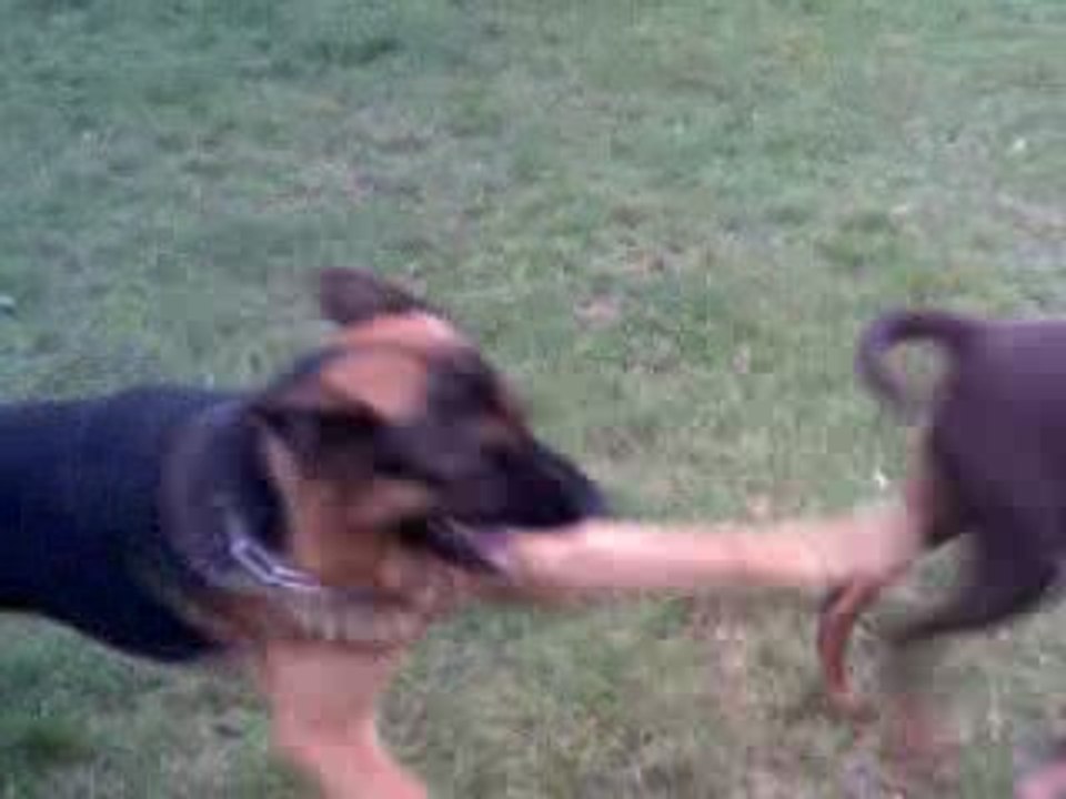 Bibi et Oxan