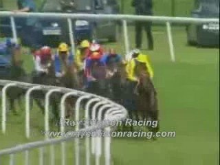 horse racing secrets 6