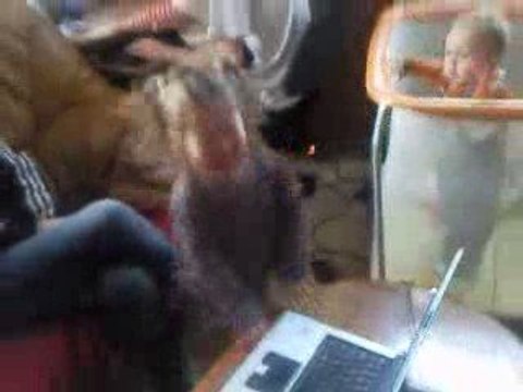 Vidéo10 10 09 Maëllys 26 mois , Agénor 21 mois et Nathan