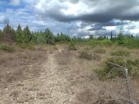 GlideCam 2000 Pro test en [HD]