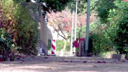 Full HD 1080P Camcorder voor €199? Ontdek hoe!