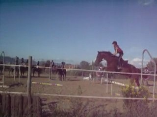 saut d'obstacle avec kit-kat