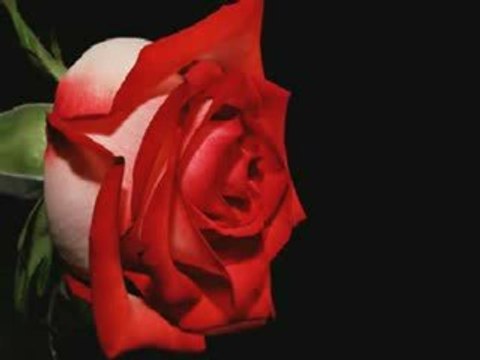 eylul tufan-Ayin Dördüydü ayın dorduydu eylül eylul