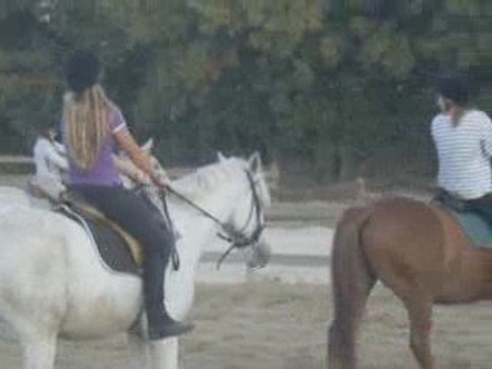 Gagneur - Kerguelen Equitation 25/09/09