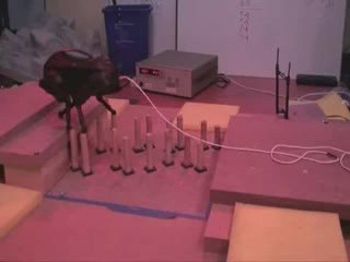 Les robots du futurs... - Spi0n.com