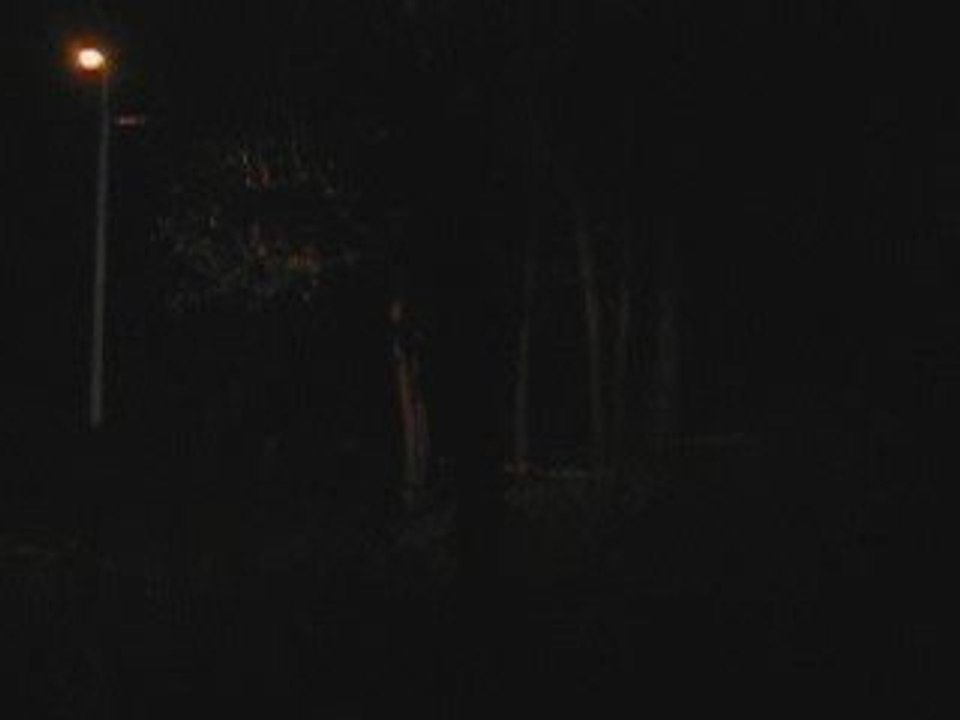 Condroz rallye 2008 Pailhe ambiance