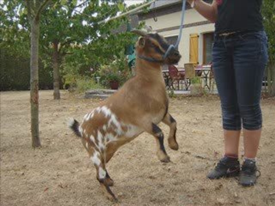 simplement elles...<3