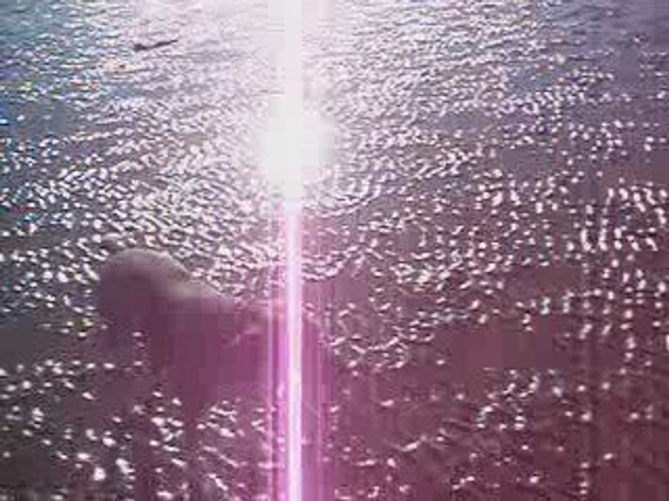 vacances Asnelles 136