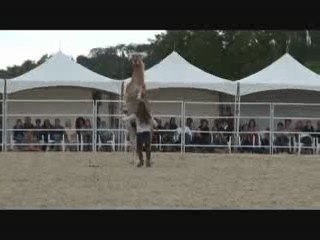 Pauline et Naiade 2009