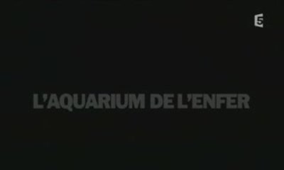 Safari prehistorique 5_5 - L'AQUARIUM DE L'ENFER 1_2