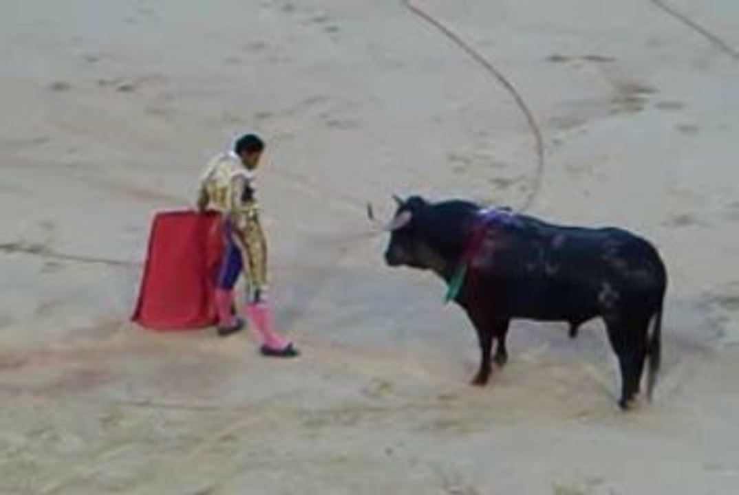 Mehdi Savalli à porta gayola: toro Hubert Yonnet