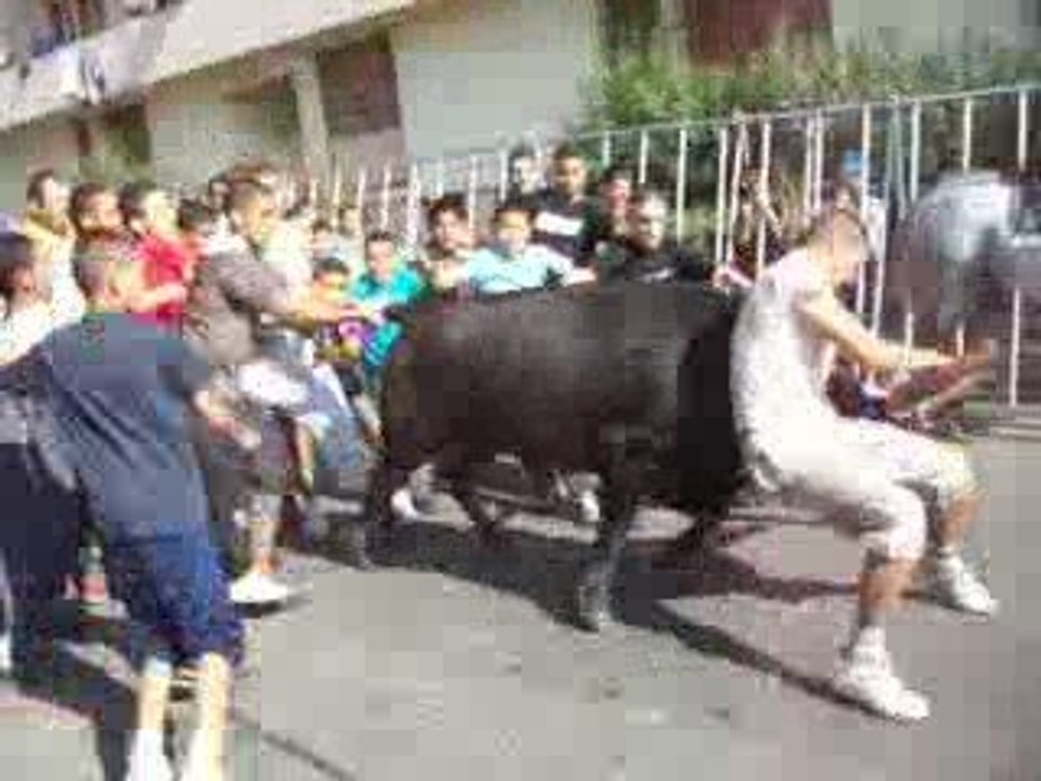 abrivado au MAS DE MINGUE 1