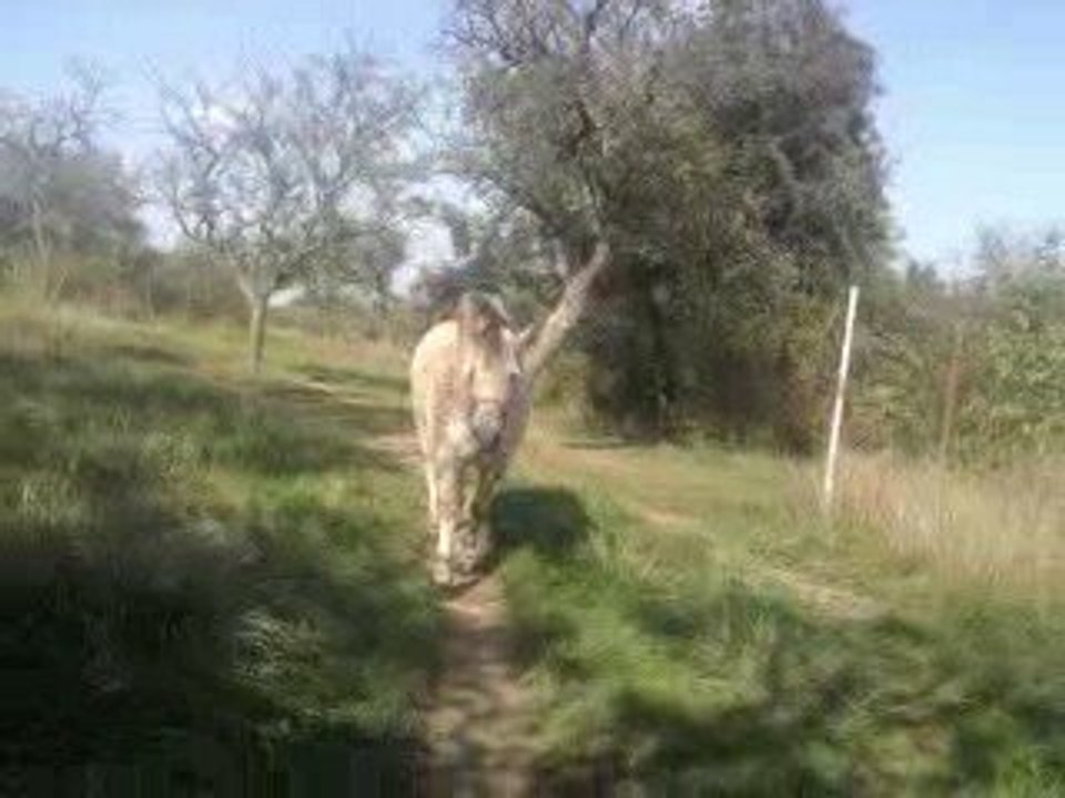 Napo un debut de liberté dans les champs