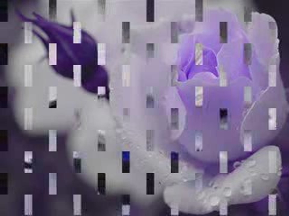 hulya avsar-gitme gitme ne olur bekle biraz dur konuş beniml