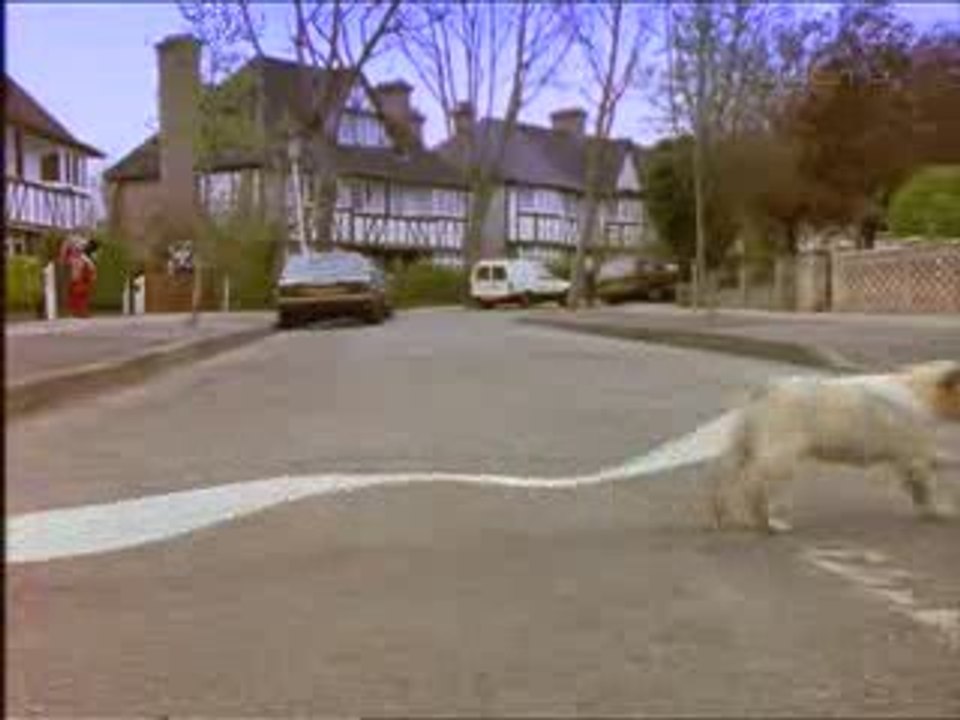 Il_veux_jouer_le_chienchien