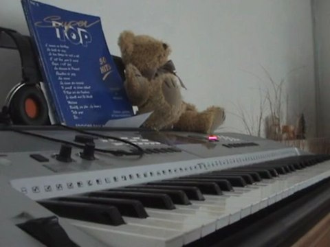 House Of the Rising Sun-The Animals