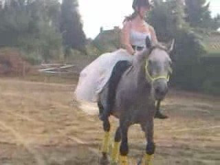 Spectacle fête du cheval