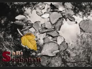 Son bahar geç olmadan