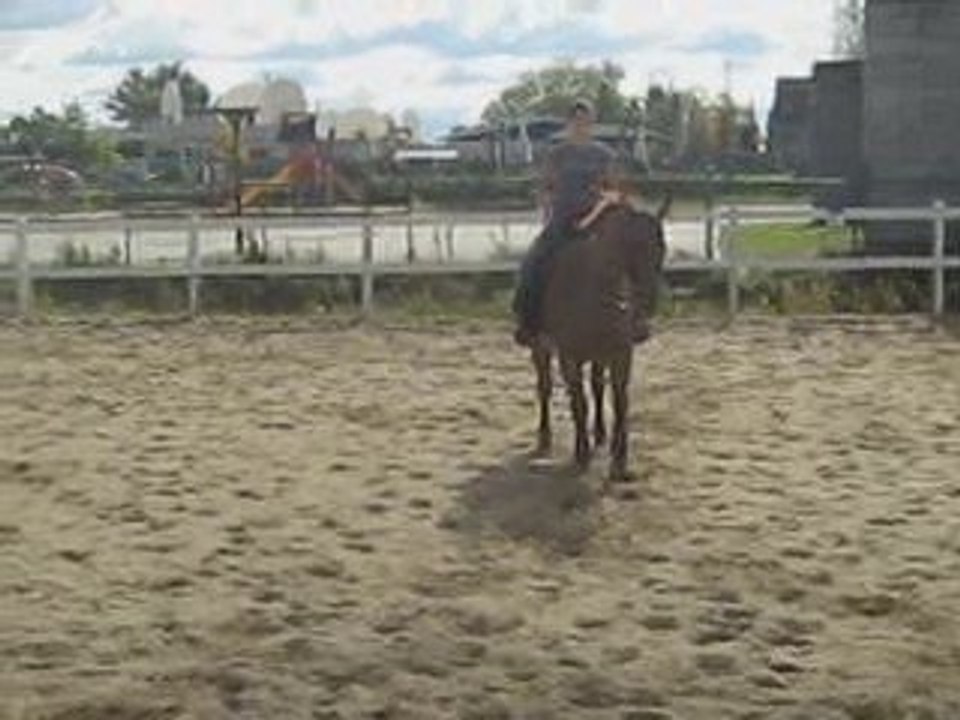 Pré-test cav.3 western