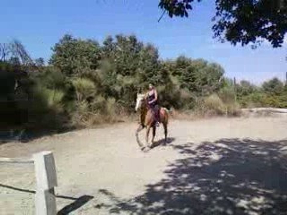 driade saut 9septembre