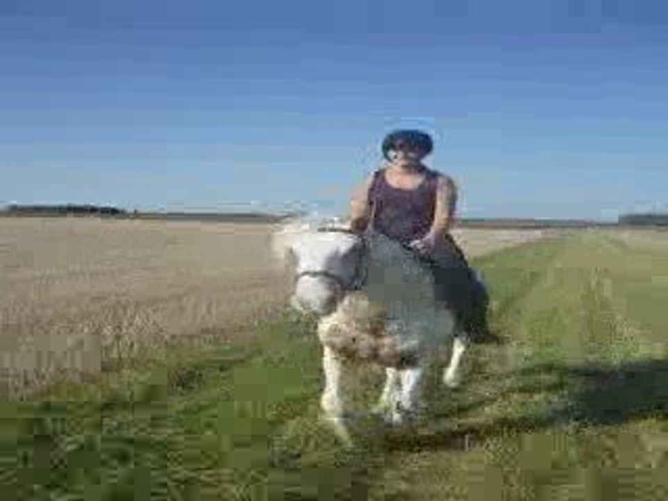 galop avec Flann pendant la balade avec Lack en attelage