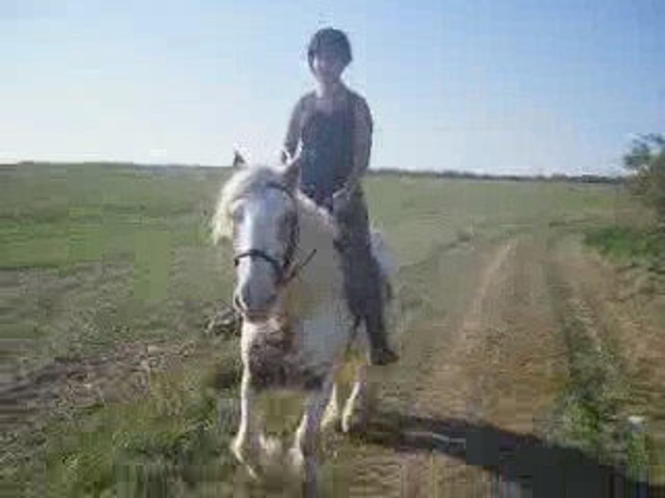 Flann en balade avec Lack en attelage!!!