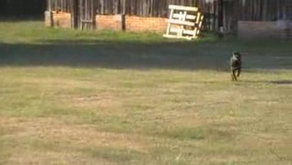 Landes 27 08 09  * 2