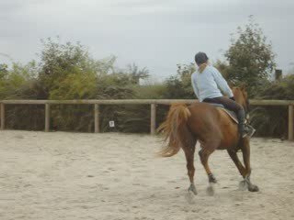cours av gabe