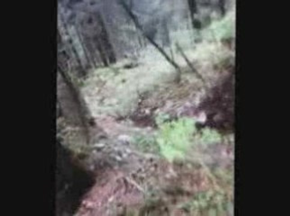 Piste bleu saint pierre DH 2