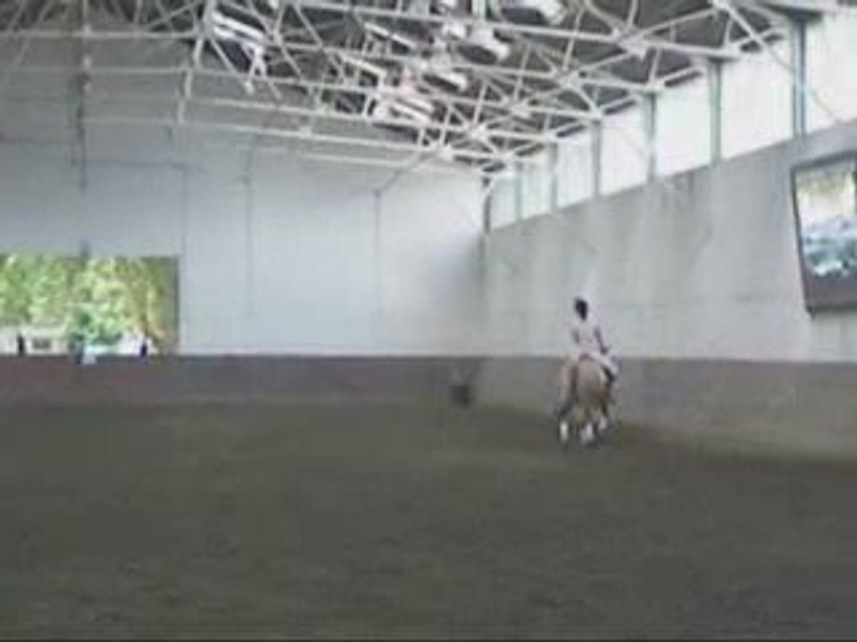 dressage fête du cheval strasbourg