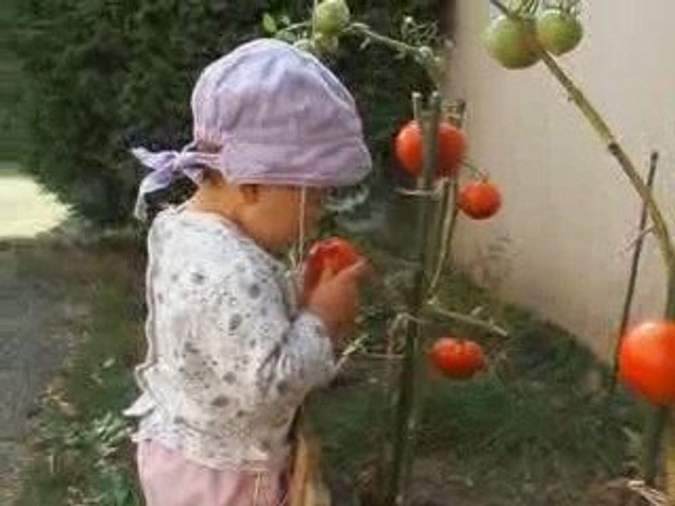27 Septembre 2009