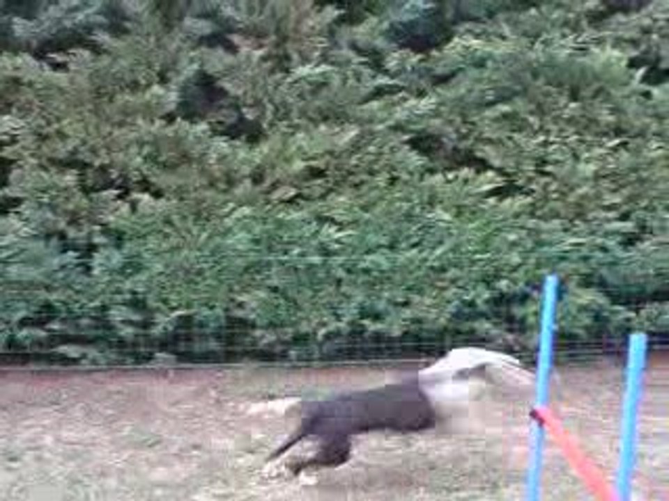 20-09-09 à la maison