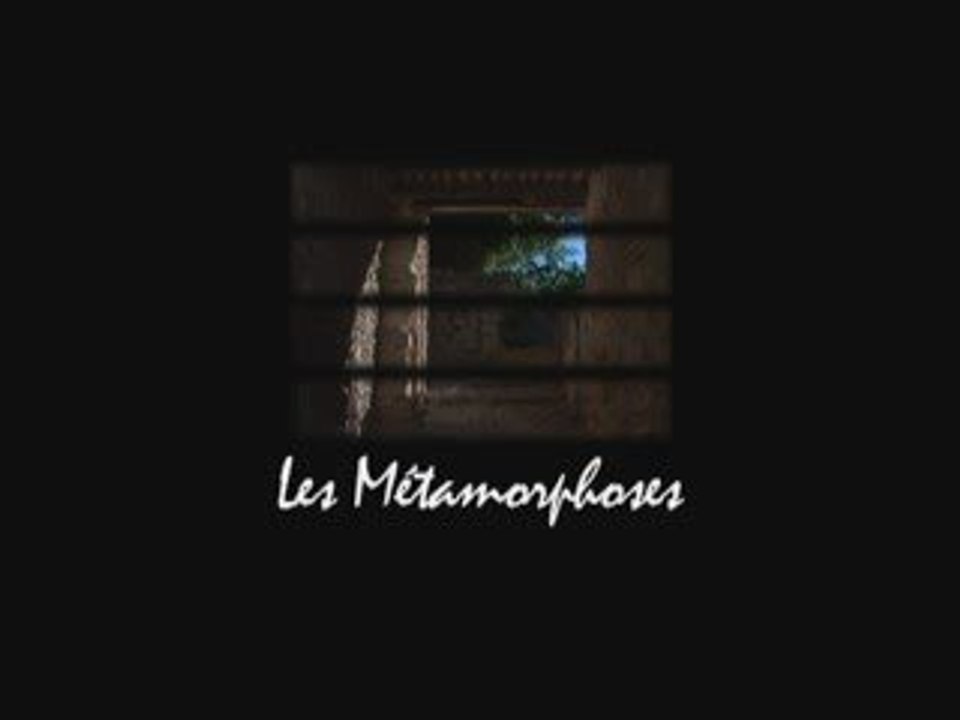 les métamorphoses