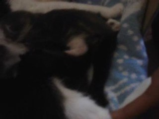 Tétée match de foot!