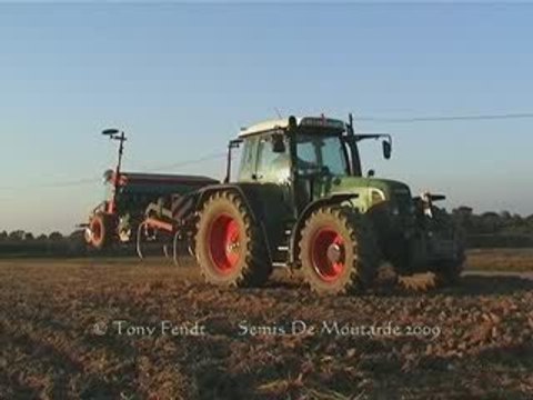 Semis de Moutarde 2009 Par Tony Fendt