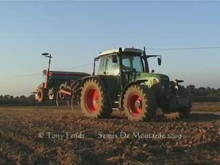 Semis de Moutarde 2009 Par Tony Fendt