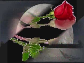 Siir Serserim   Güzelim