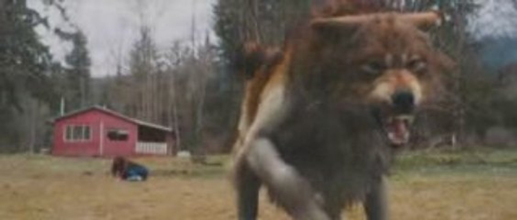 Twilight - Chapitre 2 : tentation 	bande annonce