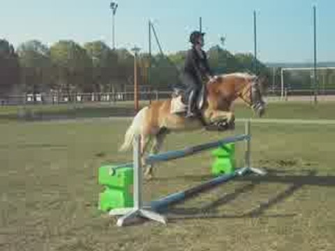 Doudou & Moi entrainement CSO