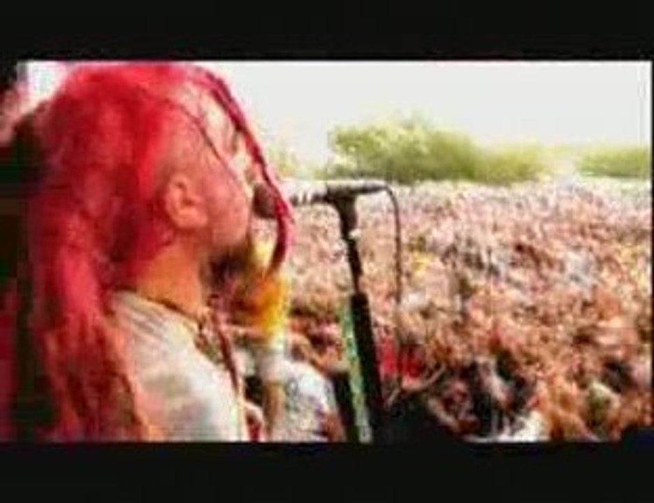 Soulfly - Back to the primitive