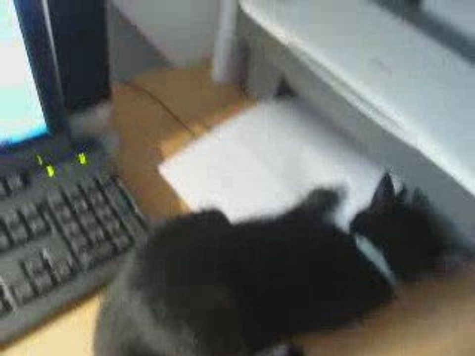 Kira et l'imprimante