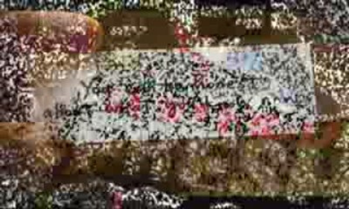 SEO Get Top Rank in Google & Yahoo! w/ Targeted Links & Meta