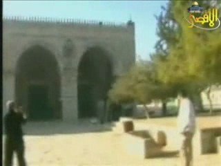 الاقتحام الصهيوني للمسجد الأقصى المبارك