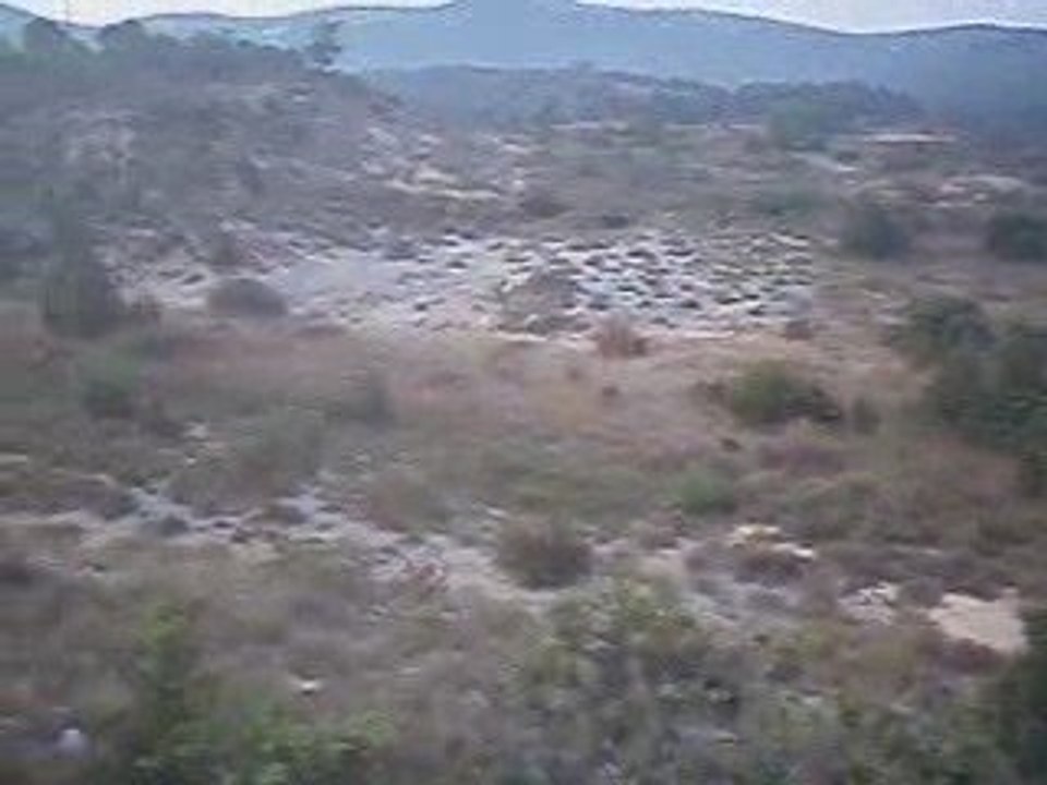 chasse du lievre aux chiens courrants ,quete du matin