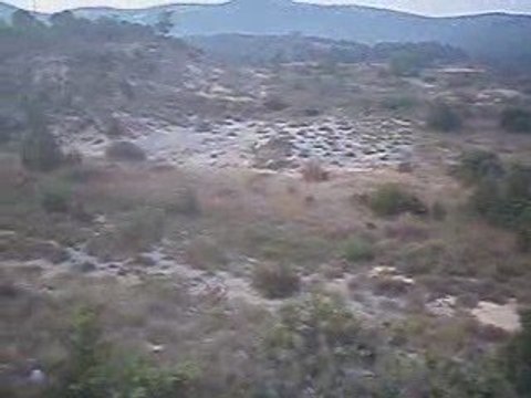 chasse du lievre aux chiens courrants ,quete du matin