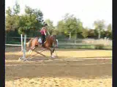 Louxor 10 ans saut obstacles